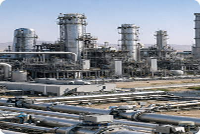 Government & Semi-Government